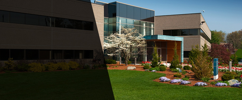 Washington Crossing Landscapers