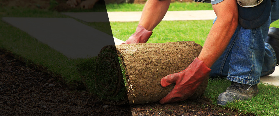 Washington Crossing Landscapers